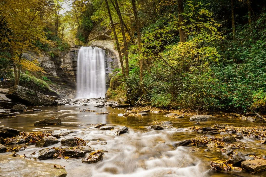 Pisgah National Forest